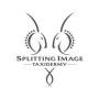 Splitting Image Taxidermy