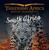 Taxidermy Africa