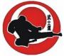 Bushido karate