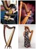 harps