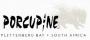 Porcupine Ceramics