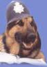 Olderhill German Shepherd Dog