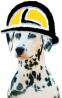 Dallmalli Dalmatians