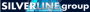 Silverline Group